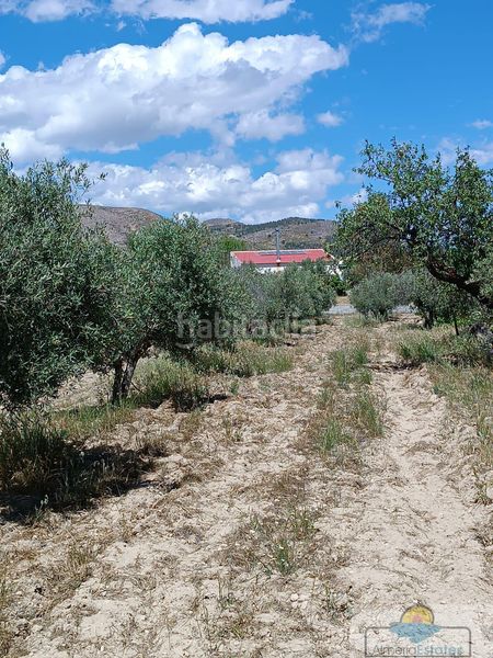 Foto e1aa8607-d3e8-444f-b05f-5ba62ac8fe66. Xalet a Oria