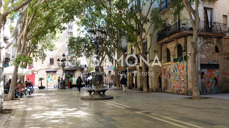 Foto 120ae7b8-6443-466f-8f13-062a7f2142a1. Miete appartement in St. Pere - Sta. Caterina - El Born Barcelona