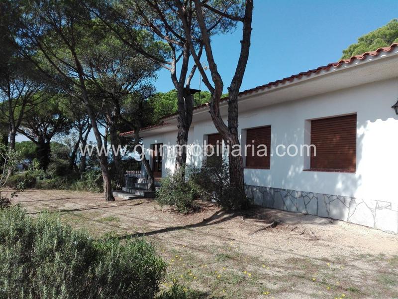 Foto 49b39649-5e39-4c90-9284-c46825c9cf67. Chalet con riscaldamento parcheggio piscina in Mas Altaba - El Molí Maçanet de la Selva