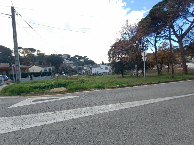 Foto a1c63ad5-8da4-47d1-8704-1d3bde00fdbe. Wohngrundstück in eucaliptus in Residencial Park Maçanet de la Selva