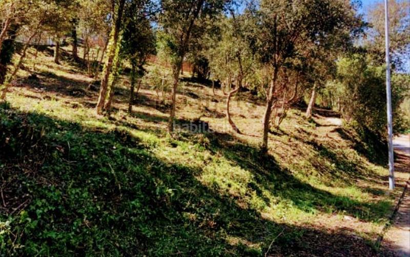 Foto 93aadd88-fe24-4ffa-941f-10215f8ff5ce. Terreny residencial a Vallgorguina