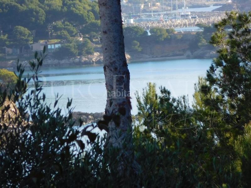 Foto 2b478cbd-7c5c-4568-97a1-9a4b0e5c8a46. Residential plot in Palmanova Calvià