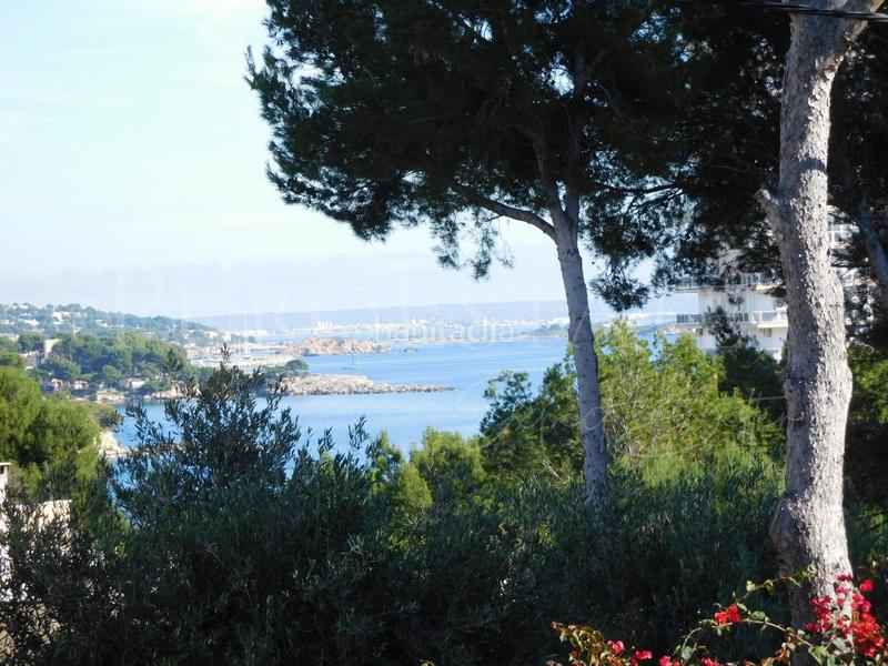 Foto ee7f7118-c89a-485a-b86c-fb504473c1de. Residential plot in Palmanova Calvià