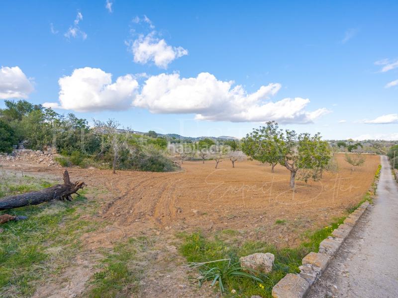 Foto a787f750-87eb-4363-8d1a-7d578eb3f6ad. Haus mit parking pool in Manacor centre Manacor