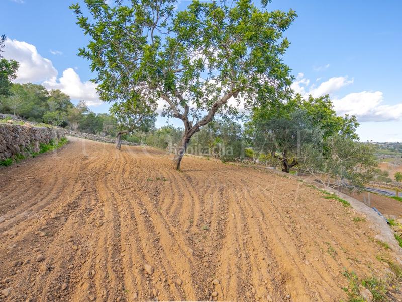 Foto ee373c26-94b3-4d82-aa8d-30e2e1ddcd4e. Haus mit parking pool in Manacor centre Manacor