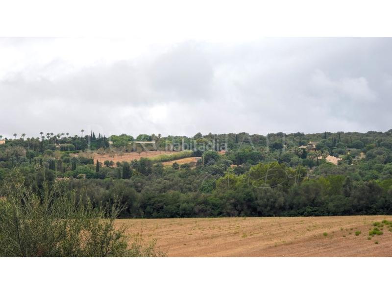 Foto 03516498-24ab-4a41-a5af-c5e94a4ef252. Terrain résidentiel dans Manacor centre Manacor