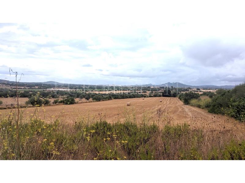 Foto 62decb56-8d8c-4169-9ddf-6c8496b2c492. Terrain résidentiel dans Manacor centre Manacor