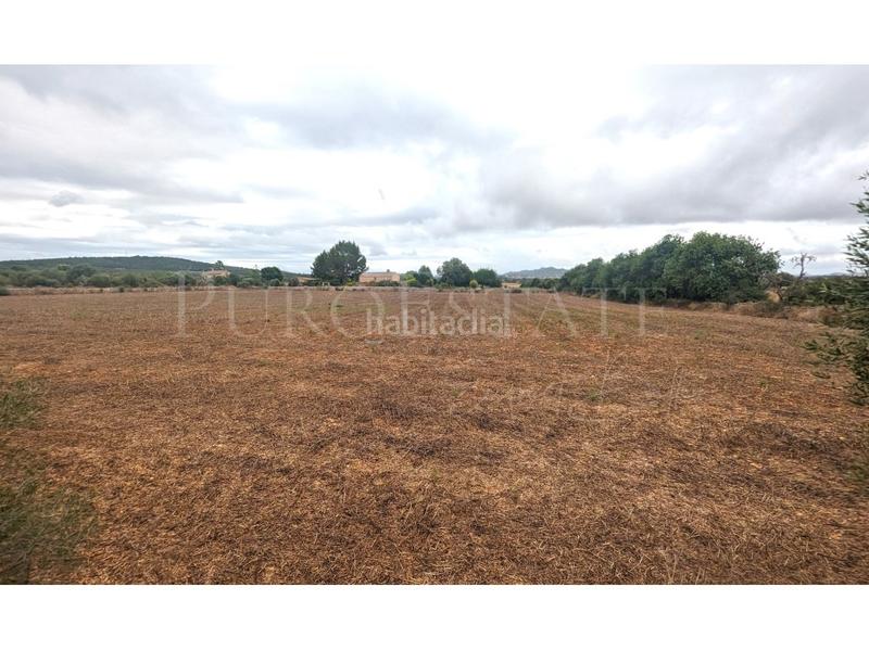 Foto 64d9c239-45fa-4c8b-92d2-01371cf6a371. Terrain résidentiel dans Manacor centre Manacor