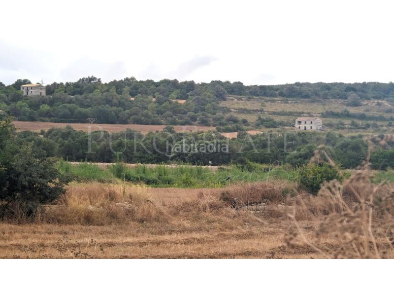 Foto 97ef6c6f-0e5d-472a-bca8-8ed228137f70. Terrain résidentiel dans Manacor centre Manacor