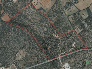 Terreny residencial a Cala Pi-Vallgornera. Se vende parcela de 229.000m2 con proyecto para construir una ca