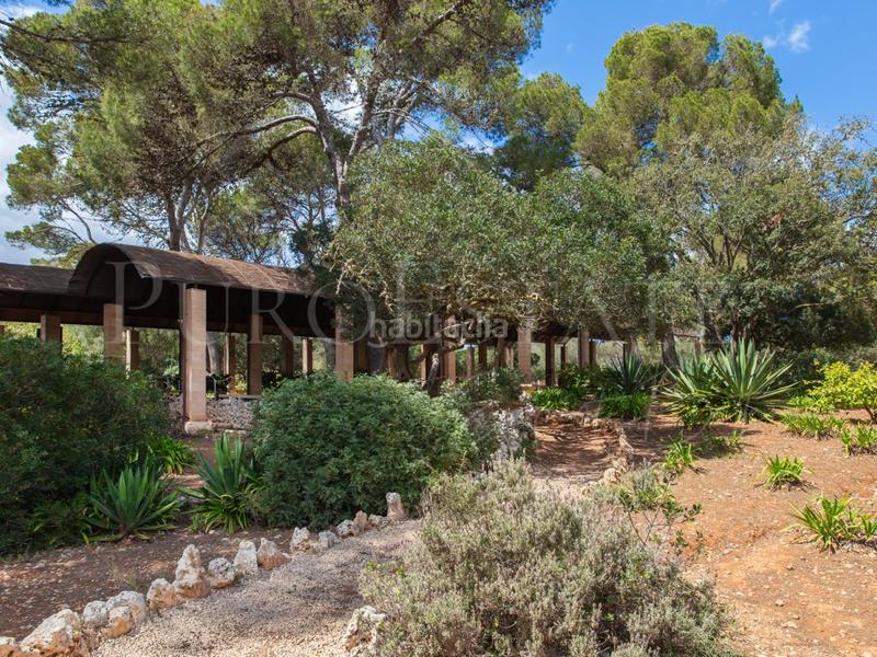 Foto 89d8fa2f-e48e-4f76-8316-474cc08debcc. Terreny residencial a Porto Cristo Manacor