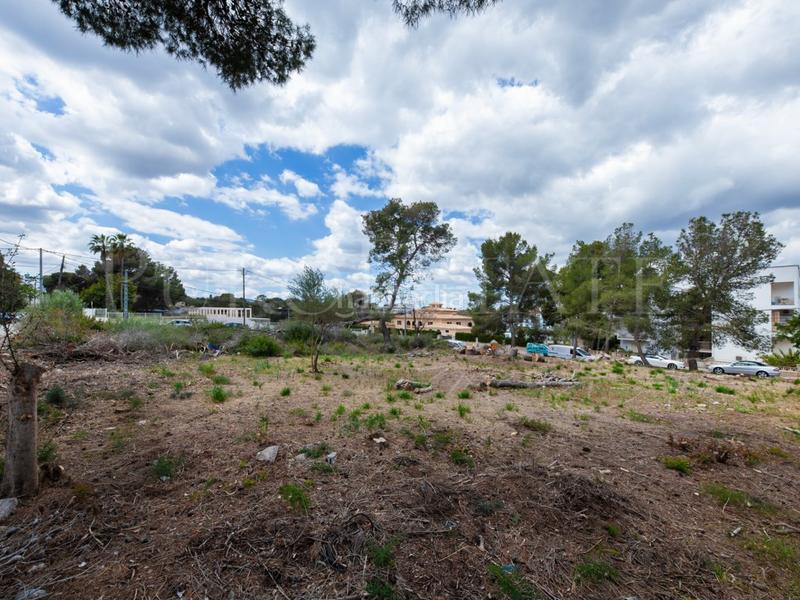 Foto a688a0fd-6568-4886-9422-b2cb8c36d22a. Terreny residencial a Porto Cristo Manacor