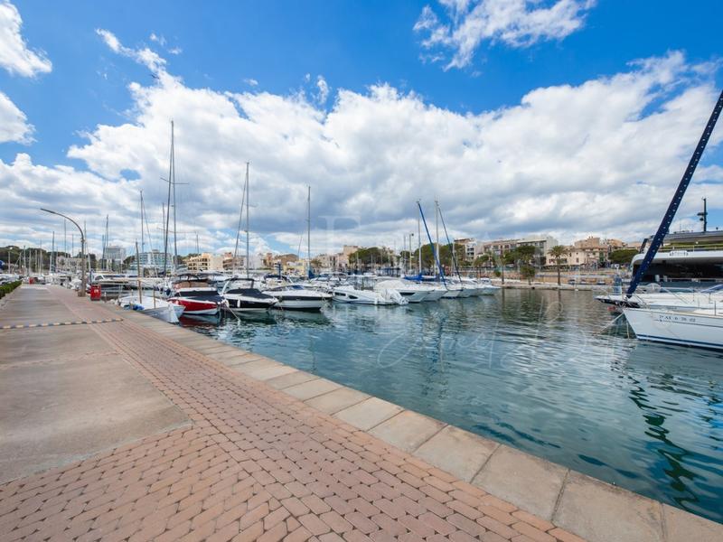 Foto a9e24110-c665-455a-a3a5-d2f378de0451. Terreny residencial a Porto Cristo Manacor