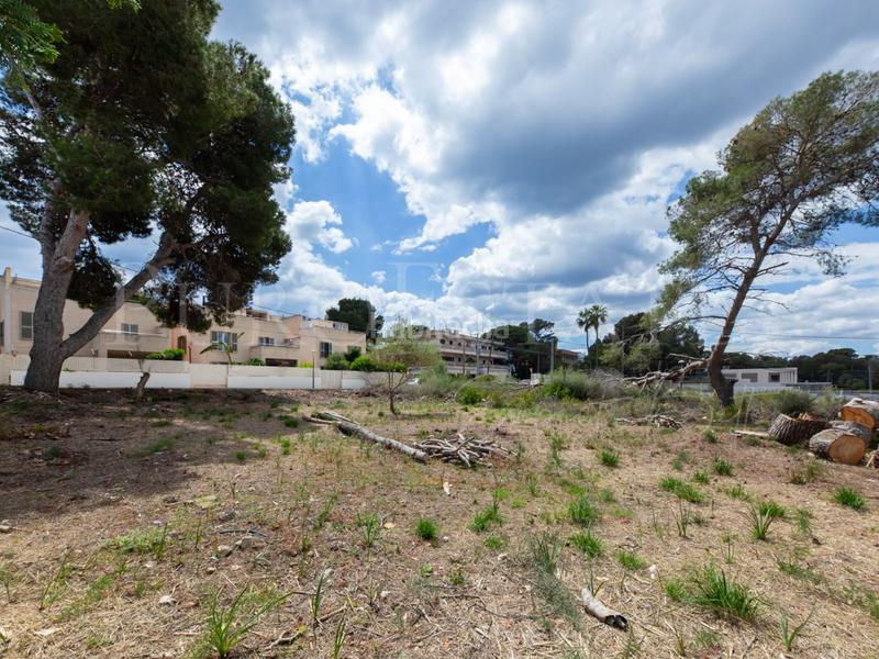 Foto f61de139-9d7c-4d6f-9ea7-5ad26bd9af45. Terreny residencial a Porto Cristo Manacor