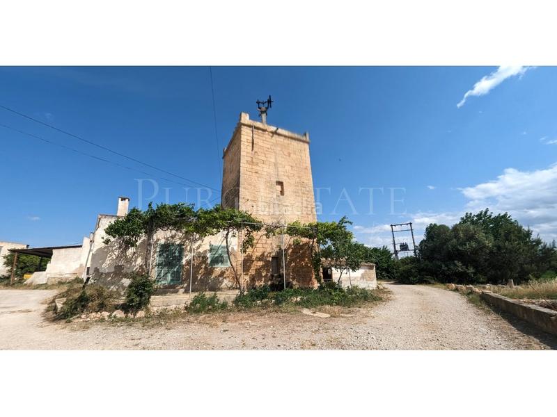 Foto 25232277-ad5c-4fa1-8961-53360da4b6cd. Casa con parcheggio in Sant Jordi Palma de Mallorca