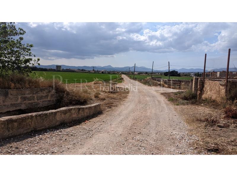 Foto 3255107c-6dd5-481e-a78e-daf84194b44a. Casa con parcheggio in Sant Jordi Palma de Mallorca