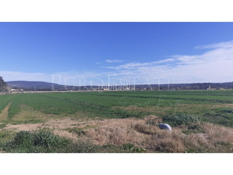 Foto 7717daa2-dc49-44b7-adc2-68e8f00b7e4b. Casa con parcheggio in Sant Jordi Palma de Mallorca