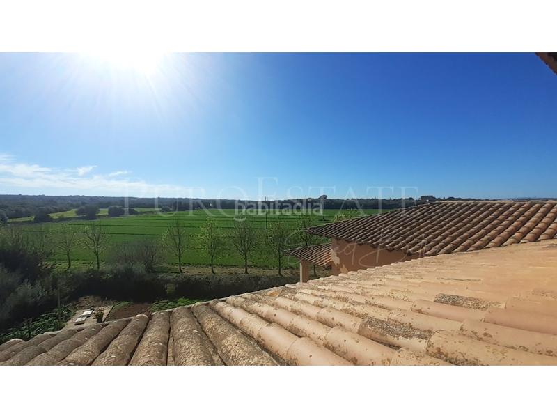 Foto 90aaa45e-6dd9-43c5-b27f-9345ec59bfda. Casa con parcheggio in Sant Jordi Palma de Mallorca