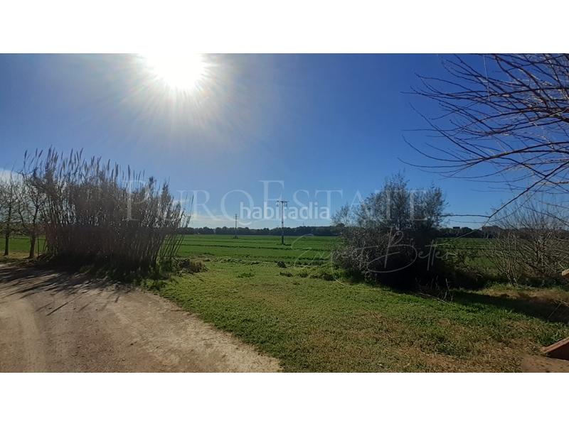 Foto f904e8e6-efa0-4758-b2d3-5972e0ca3f30. Casa con parcheggio in Sant Jordi Palma de Mallorca