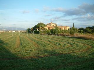 Terreny residencial a Sant Jordi. Magnifico terreno edificable de 348.000m2 junto al campo de golf