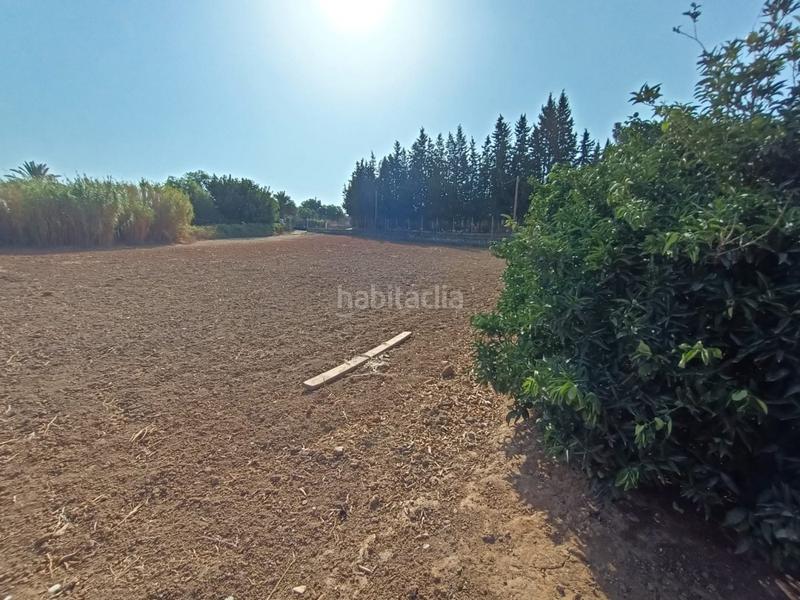 Foto 0f061a0a-6e28-4482-a4ab-17d238fdb984. Mas dans Parque Atlántico - Ronda este Jerez de la Frontera