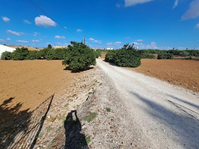 Foto 156da30e-2c5e-4456-81a1-c640c5f1ee11. Mas dans Parque Atlántico - Ronda este Jerez de la Frontera