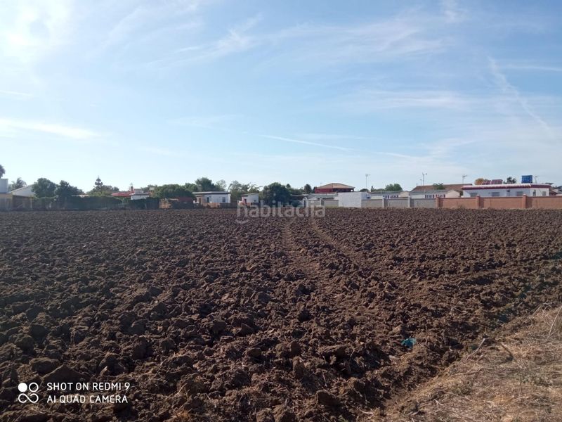 Foto 3c4a0723-343e-409d-b5e8-67b2c22a48bd. Propriété dans Vejer Vejer de la Frontera