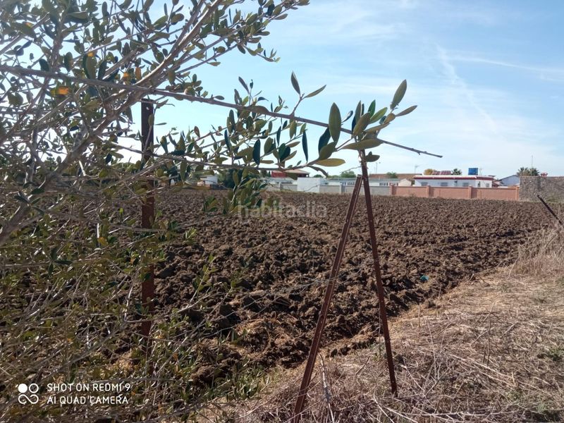 Foto 515bdd5a-de4e-4a15-b62c-8d1ba43afce7. Propriété dans Vejer Vejer de la Frontera