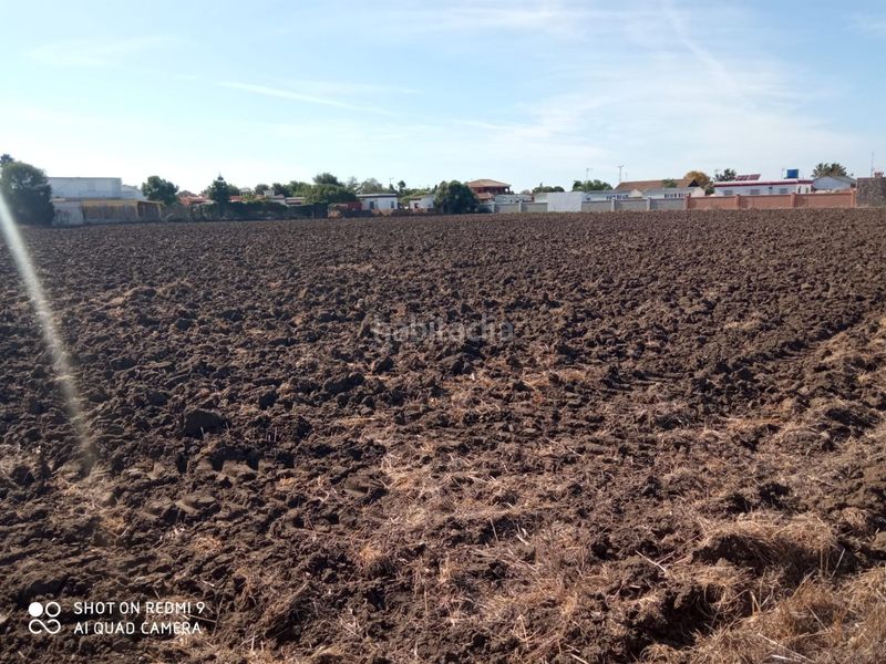 Foto 60870844-b971-4fa6-b5df-df069bd9ba62. Propriété dans Vejer Vejer de la Frontera
