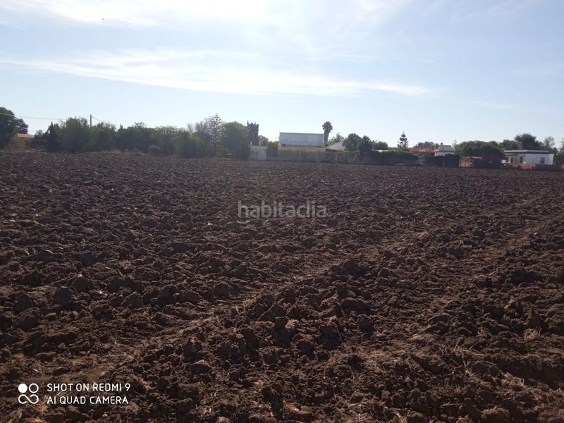 Foto 6575c30b-231b-4085-9b4f-760de6943bd8. Propriété dans Vejer Vejer de la Frontera