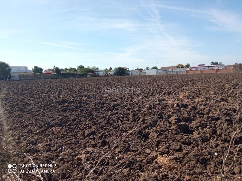 Foto 6f6c9a61-1609-4ecf-9a28-5782e0fbfa23. Propriété dans Vejer Vejer de la Frontera