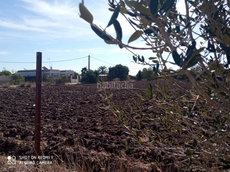 Foto 7512fa68-3c77-4d42-aaa7-3910600ac160. Propriété dans Vejer Vejer de la Frontera
