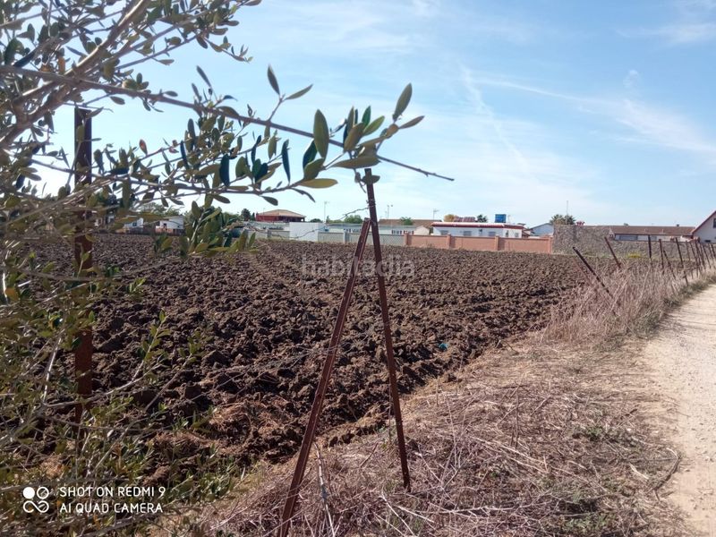 Foto bb8494bc-45c8-4849-a2eb-93dd276c3958. Propriété dans Vejer Vejer de la Frontera