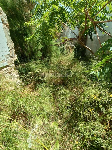 Foto 6d25c65e-fc43-40af-81a7-f950ab5244cb. Casa  señorial en venta en pleno Centro en Centro Jerez de la Frontera