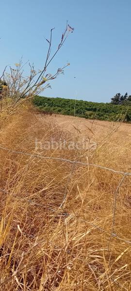 Foto bec21d3e-4ad2-4273-a469-95042ec66486. Terreny residencial a Las Lagunas - Campano Chiclana de la Frontera