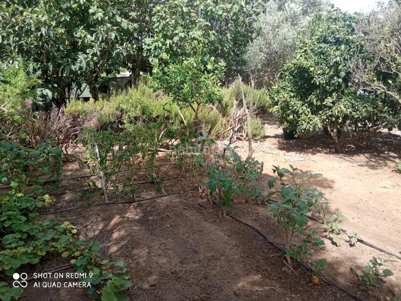 Foto 4b400856-5893-43fd-ab20-ab95eeb28914. Chalet mit pool in Villanueva Golf Puerto Real