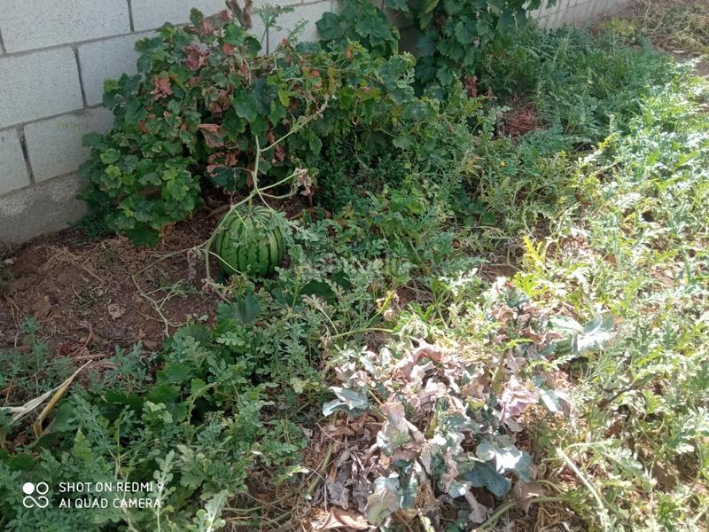 Foto 79fb7c66-41e3-4dba-b2f4-a5eed483d27e. Chalet mit pool in Villanueva Golf Puerto Real