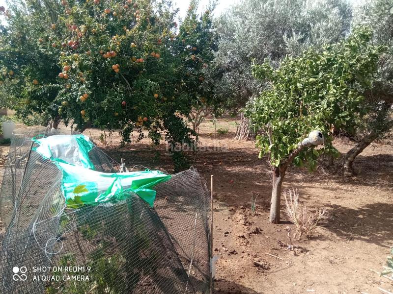 Foto a1be7da5-9255-4e10-9d61-a591330fdf8f. Chalet mit pool in Villanueva Golf Puerto Real