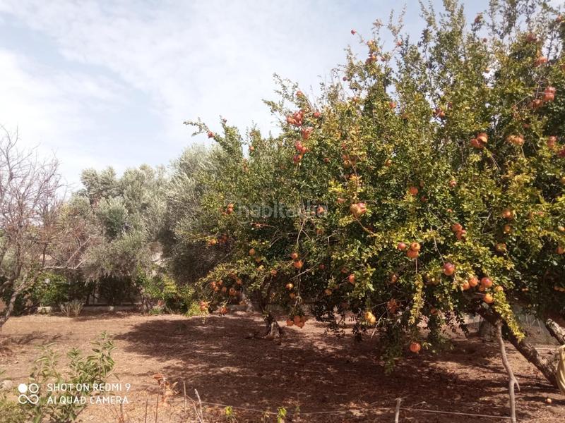 Foto f8271eaf-89bd-4117-8c2f-56d0046311c0. Chalet mit pool in Villanueva Golf Puerto Real