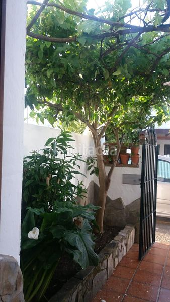 Foto 7bde2034-2877-4688-b284-213975873317. Affitto casa a schiera in Los Gallos Chiclana de la Frontera