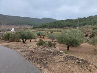 Masia a Tibi. Ocasión fabulosa  parcela 20000 m mas otra parcela de 10000