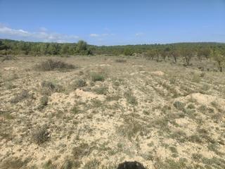 Terreny residencial a Tibi. Ocasión maravillosa finca de 15000m2 en tibi zona escobar con de