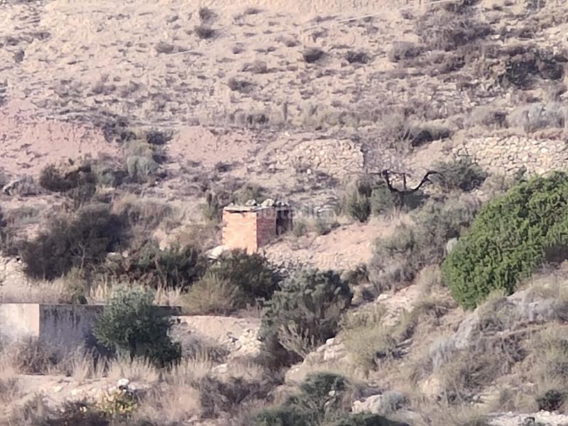 Foto 8363e2c0-7694-4e87-acd3-9a216e24235e. Terreno residenziale in Tibi