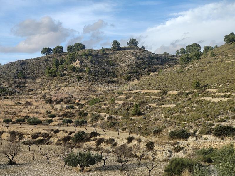 Foto ee31e906-8e65-4b94-a04b-91ee3729d52d. Terreno residenziale in Tibi