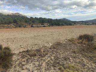 Propriété à Tibi. Ocasion finca en tibi con vistas al rio