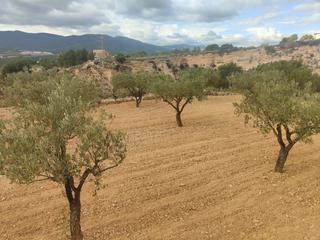 Propriété à Tibi. Ocasion terreno en tibi con vistas inmejorables
