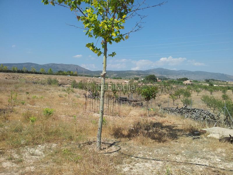 Foto aa0799c3-b61d-47f8-87a5-b1d3e994b254. Terreno residenziale in Castalla