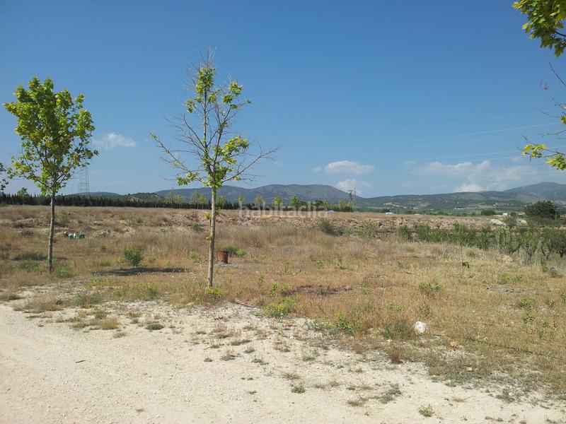 Foto d667f425-4863-45a4-b52d-65a992e66aa6. Terreno residenziale in Castalla