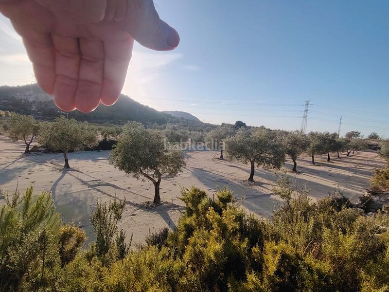 Foto 03689597-cfcb-436b-becf-34a5a05041b4. Wohngrundstück in Biar