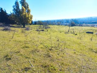 Residential Plot  Calle helechos. Parcela en pago solete (jerez de la frontera)